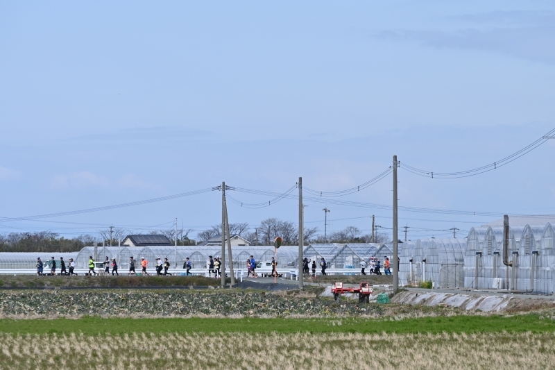 田んぼ付近を走る参加者の写真3