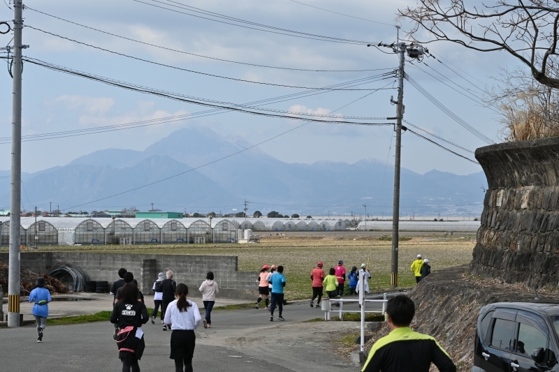 田んぼ付近を走る参加者の写真4