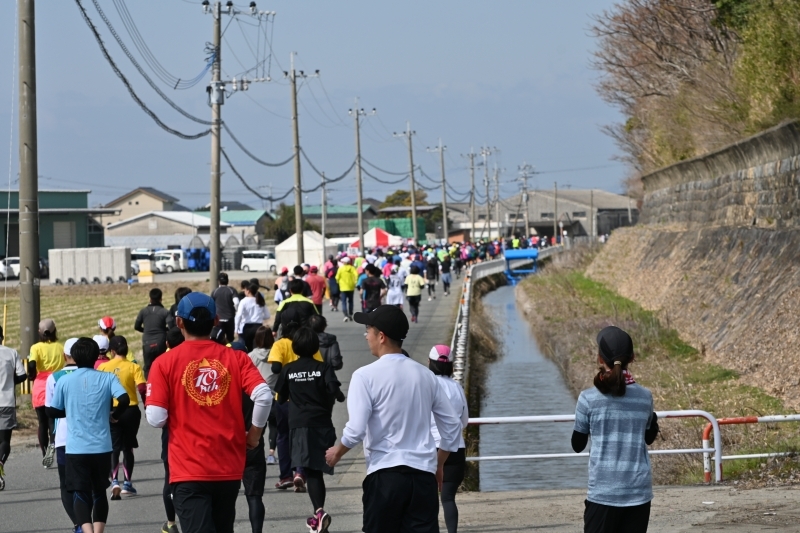 田んぼ付近を走る参加者の写真5