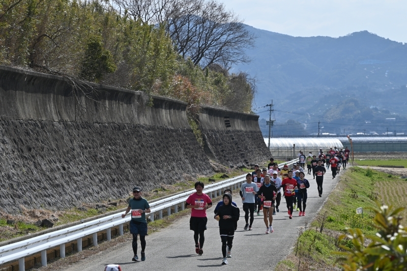 田んぼ付近を走る参加者の写真6