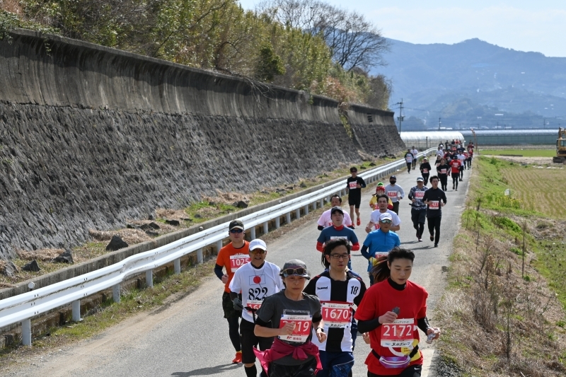 田んぼ付近を走る参加者の写真7