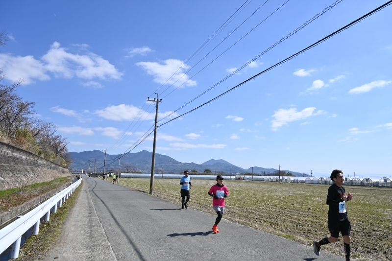 田んぼ付近を走る参加者の写真10