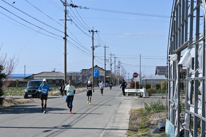 田んぼ付近を走る参加者の写真11