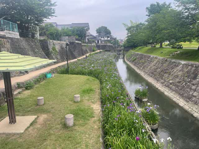 65᤮(궶ή¦)β֤礦֤μ̿