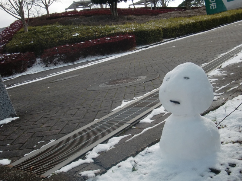 桃田運動公園の道沿いに、雪だるまが置いてある写真