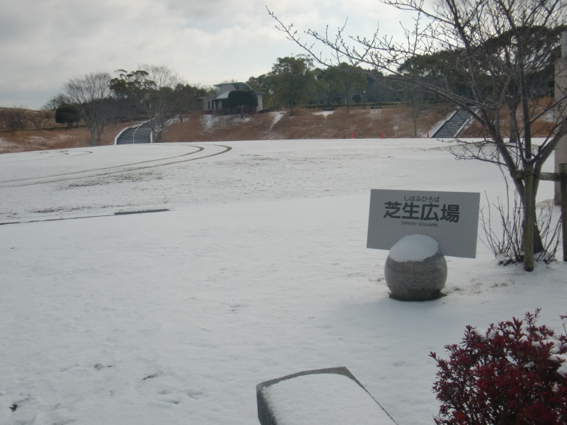 雪が積もった芝生広場の写真