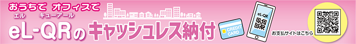 륭塼ʥХʡ
