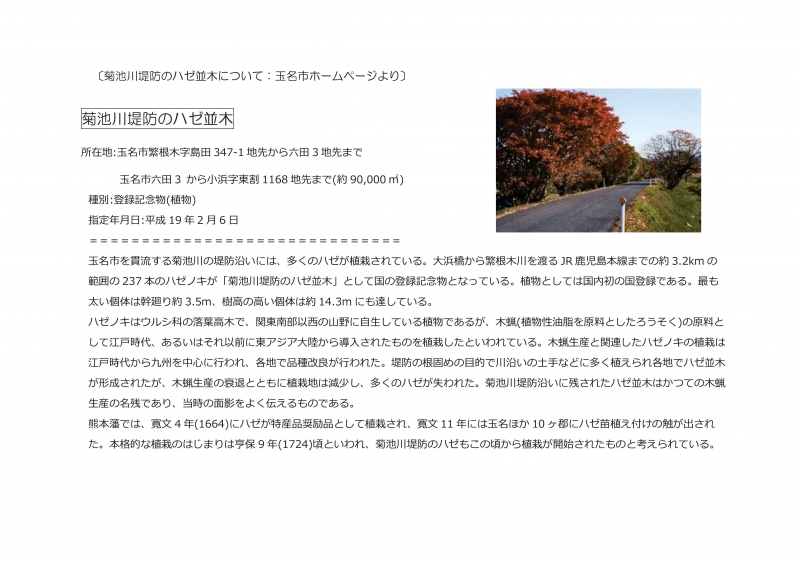 R7ハゼ並木清掃活動チラシ(2/2)