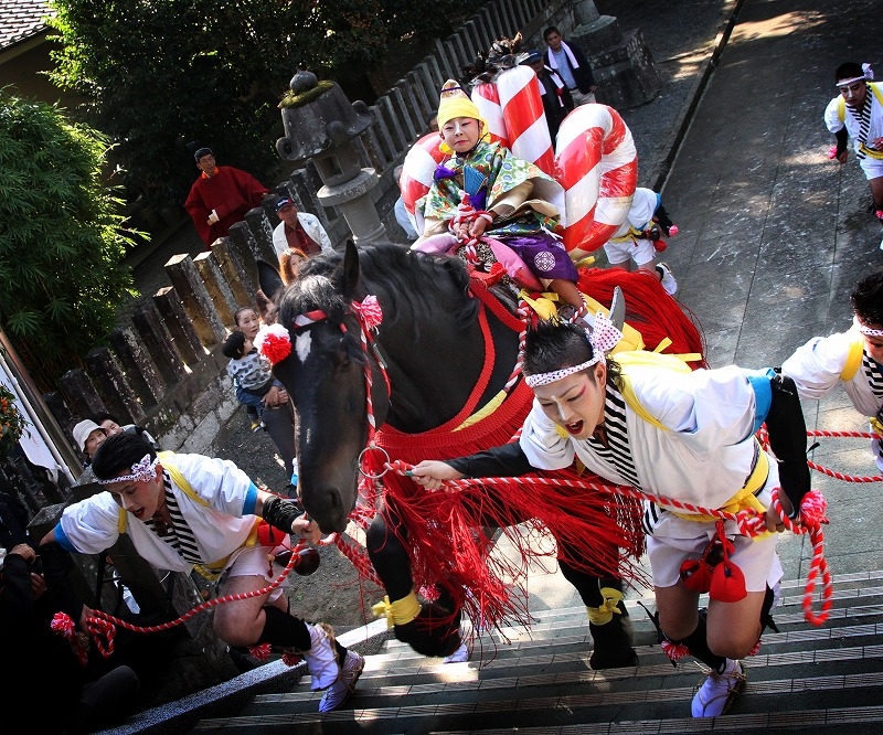玉名フォトコンテスト2014グランプリ　前田正憲「駆け上る」の写真