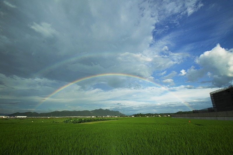 田上さざ江「虹の架け橋」の写真