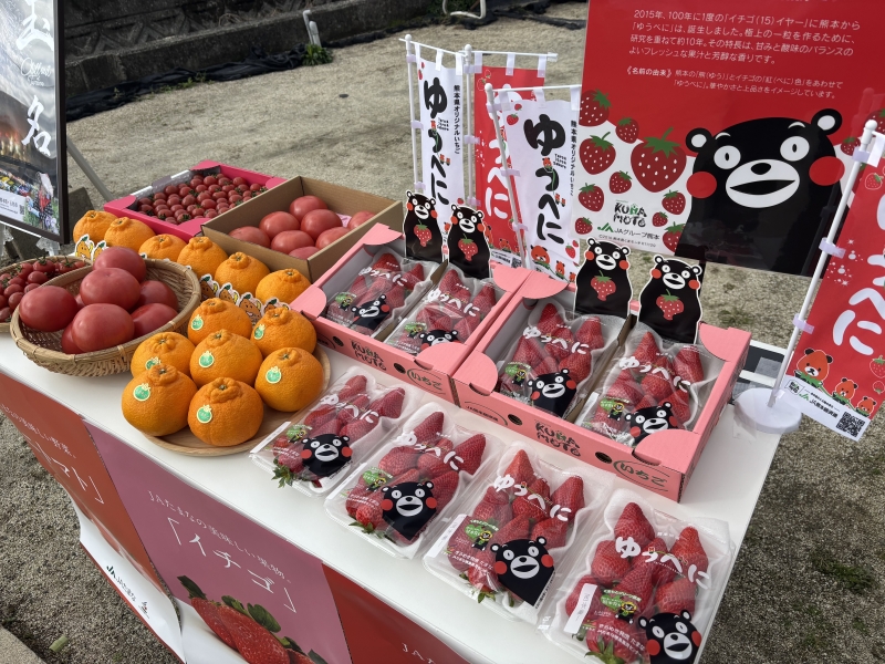 ÂçÃϤÎÊõÀÐ ¶Ì̾¤æ¤¦¤Ù¤Ëçõ¤É¤é¾Æ¤¾¦ÉÊȯɽ²ñ¡