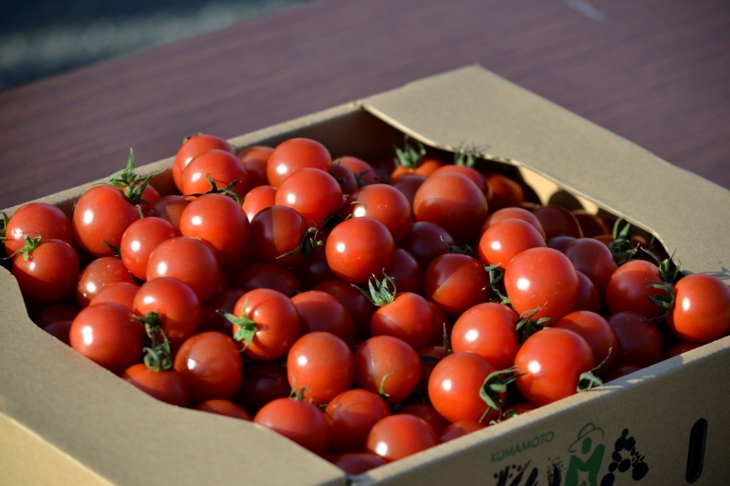 �����ɥ��ơ������