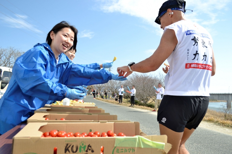 �����ɥ��ơ������