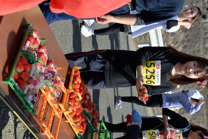 �����ɥ��ơ������