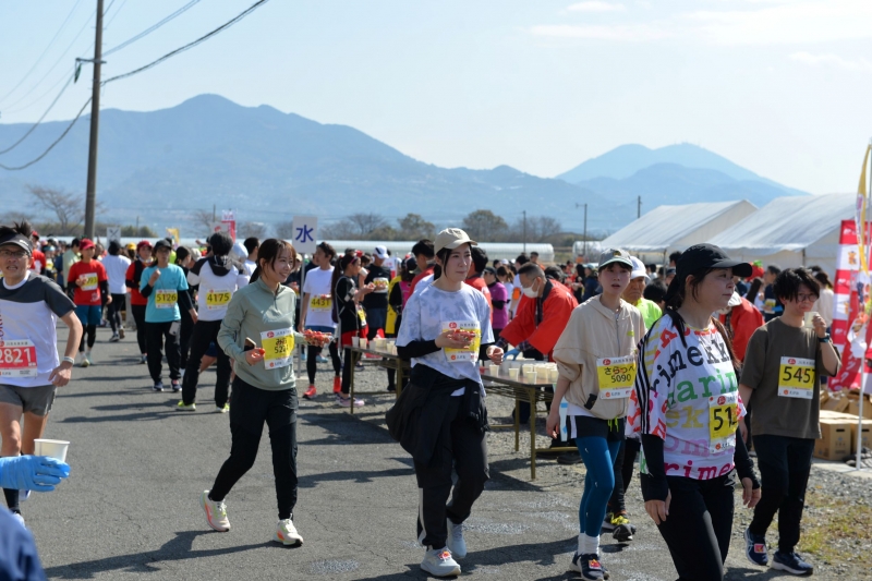 �����ɥ��ơ������