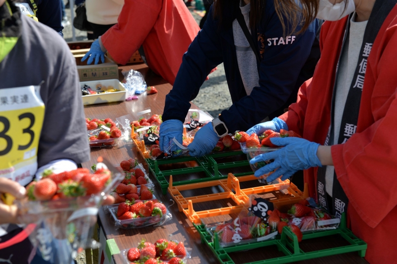 �����ɥ��ơ������