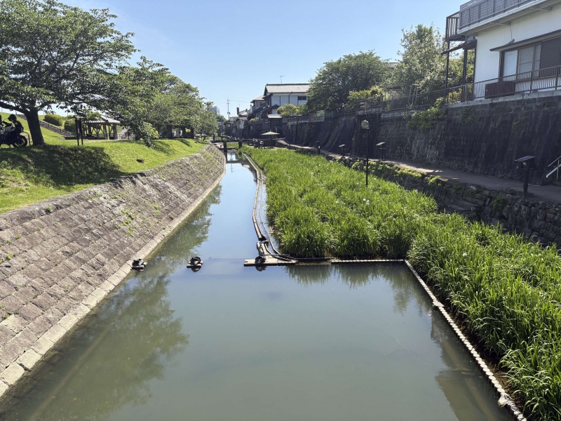 5月11日の高瀬裏川全体の写真
