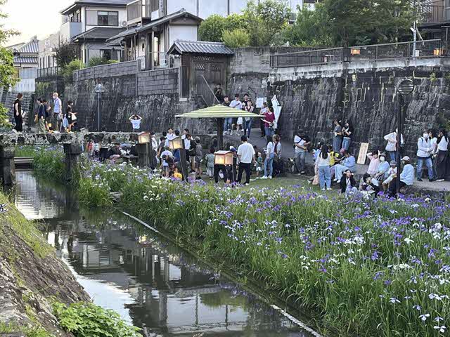花しょうぶ2
