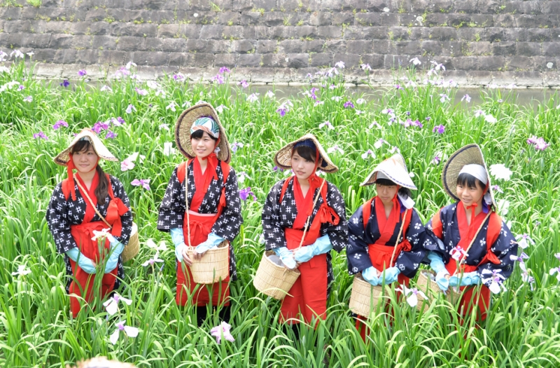 写真 05 5月27日 花摘み娘