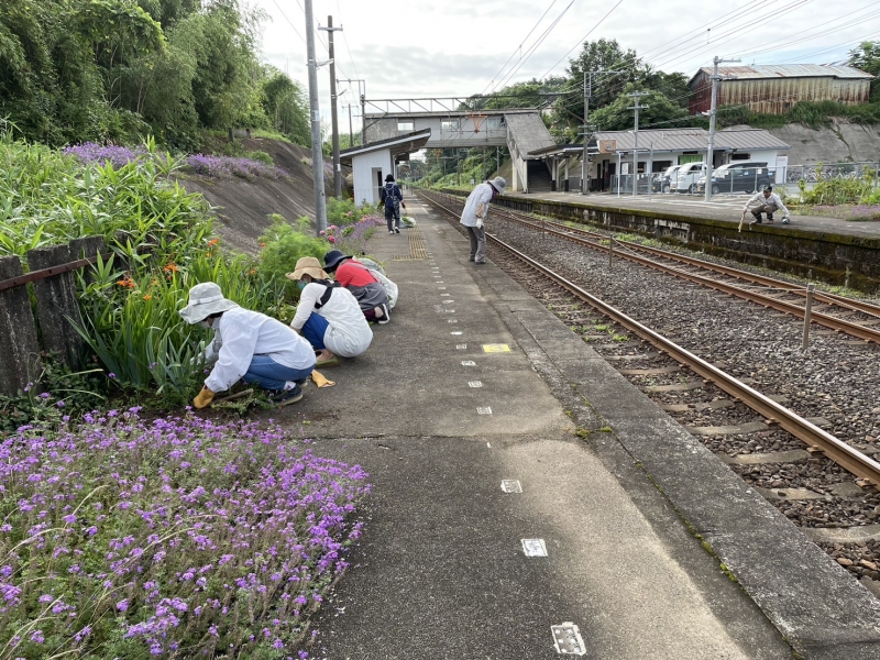 美化作業の状況写真