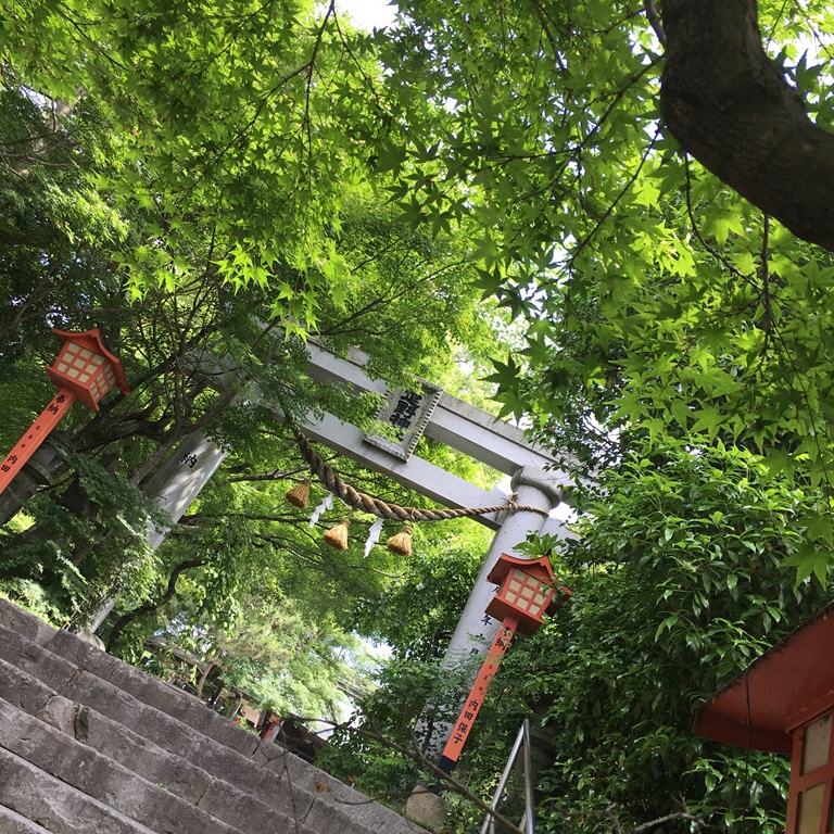 19　疋野神社の写真