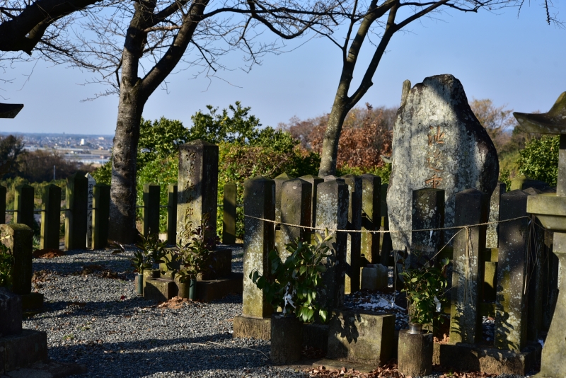 池辺吉十郎墓の写真