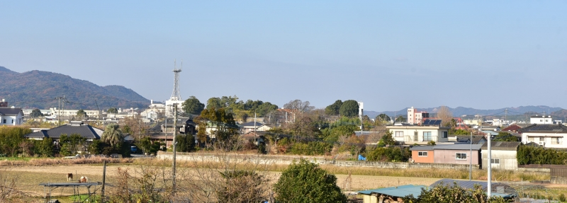 永徳寺と繁根木八幡宮の写真