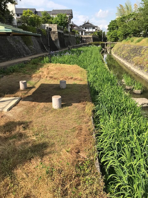 5月9日 1枚目の写真