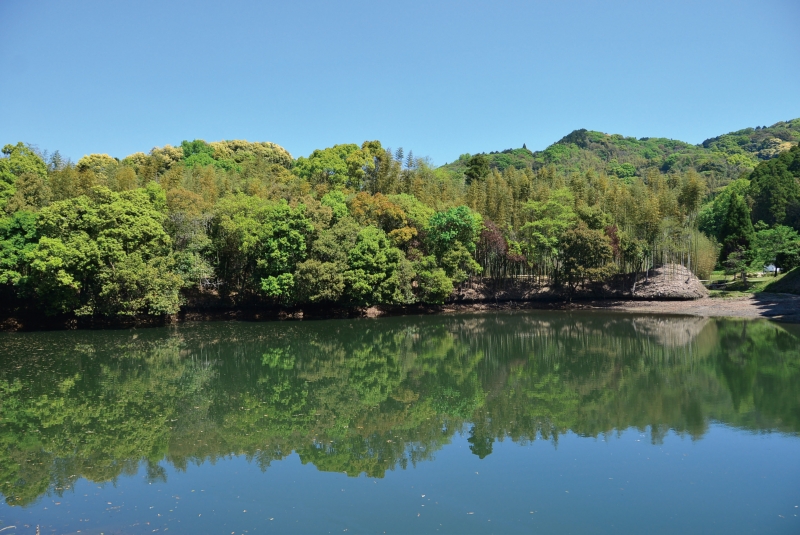 遊歩道から見る山部田池の写真