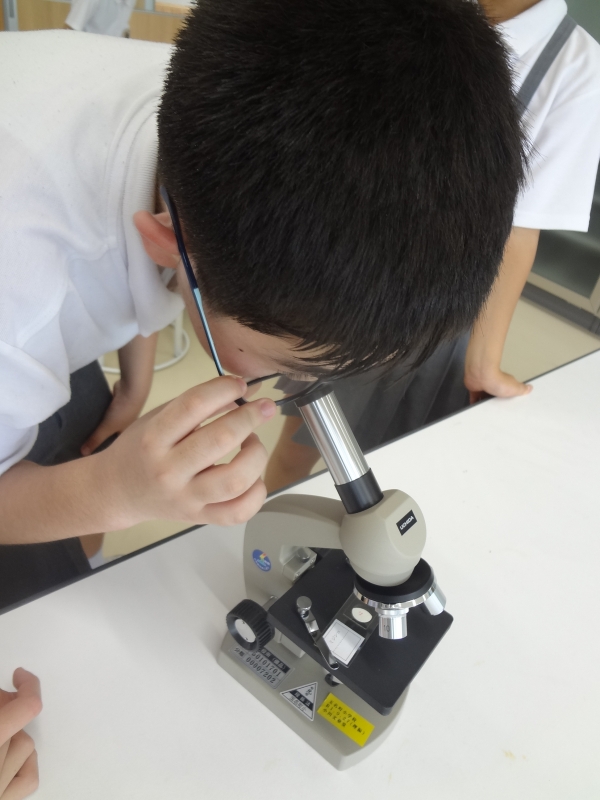 玉名市の未来を担う子どもたちへ　理科備品(顕微鏡)の写真