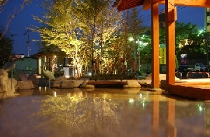 ライトアップされた立願寺公園の画像
