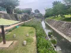 65᤮(궶ή¦)β֤礦֤μ̿