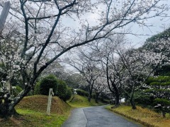 327ʬ餭κμ̿()