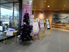 ǯ٤Υӡ˾줿ĥ꡼ͻ