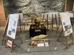 R6ǯ��Ÿ������