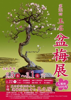 ��22���̾����Ÿ���饷