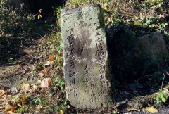 ����Ƿ���Ͷ���