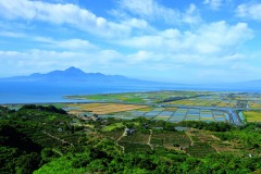 �»�Ÿ˾���फ���į��