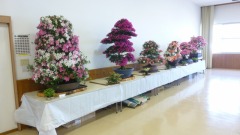 ���Ĥ�Ÿ������ͻҤμ̿�