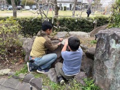 R7��ή�����ֺ��