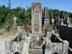 �����������ȶ�����