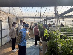 �ٶ�����ͻ�