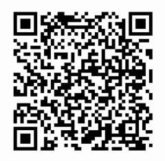 �ʤ������٤ꥤ�󥹥������QR������