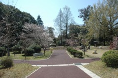 蛇ヶ谷公園の桜の木の写真