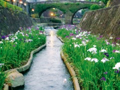 ����΢��֤��礦�֤μ̿�