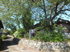 ���ĳ���